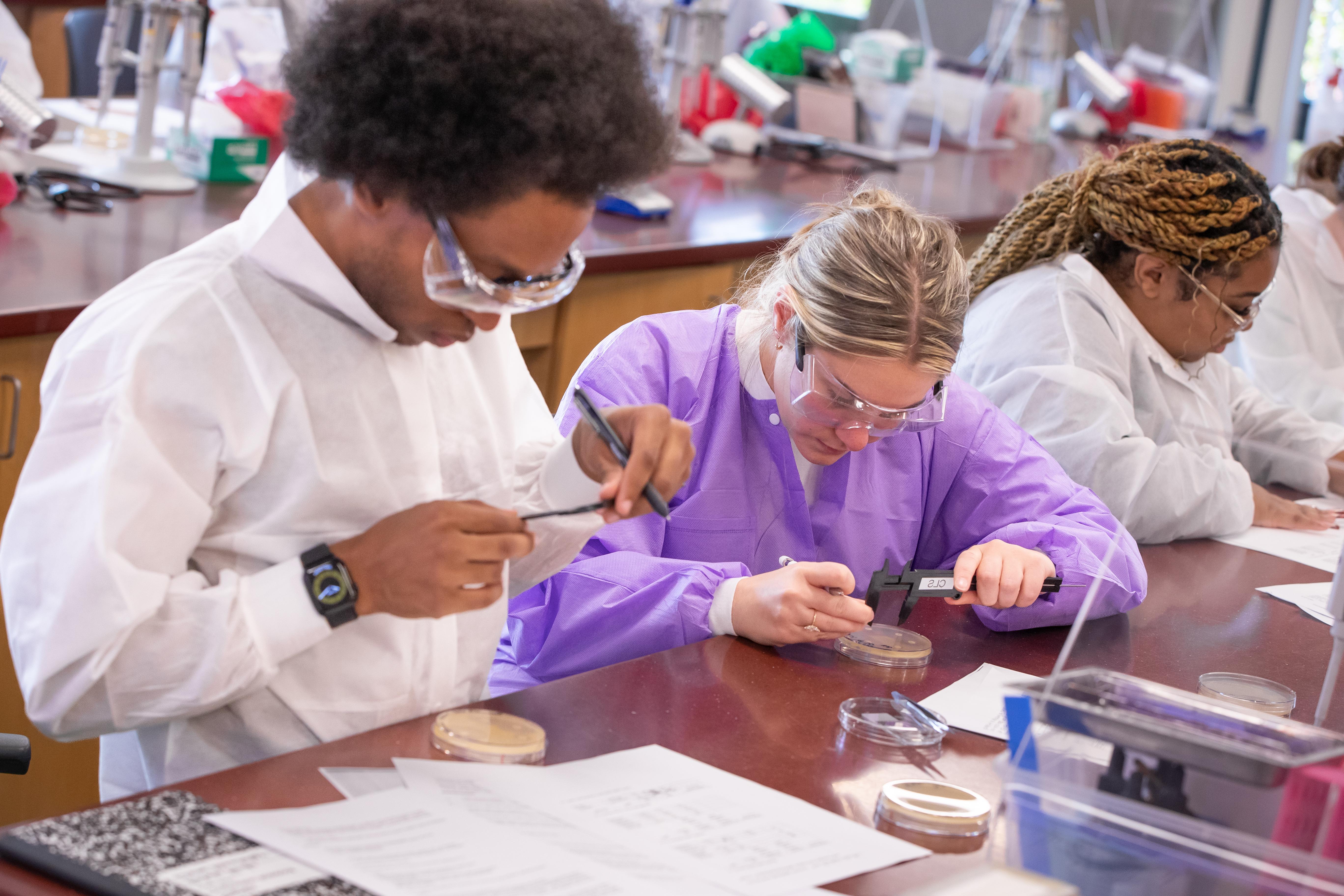 Two ACPHS students conducting research in the lab